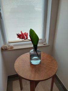 赫瓦尔Vila Luka的相册照片