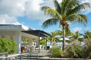 a palm tree in front of a resort with tables and chairs at Latitude - with private plunge pool in Rivière Noire