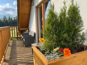 Vrt pred nastanitvijo Apartmány MAX