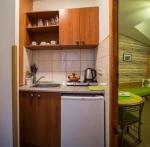 een kleine keuken met een wastafel en een fornuis bij Apartmany Jasna Veverica in Demanovska Dolina