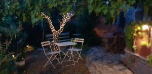 A garden outside Il Cantuccio nel Chianti