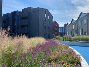 a garden with purple flowers in front of buildings at Kalamaja Garden in Tallinn
