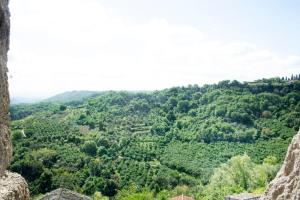 a view from the top of a hill with trees at Casa nella roccia in Bomarzo