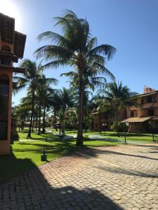un grupo de palmeras en un parque en Guarajuba - Genipabu Summer House (Flat beira mar), en Camaçari