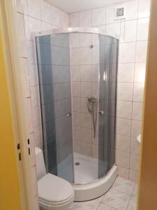 ein Bad mit einer Dusche und einem WC in der Unterkunft Pokoje Pod Łukami in Solina