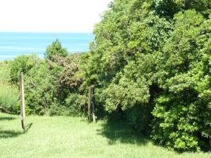 Naturlandskabet i nærheden af lejligheden