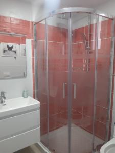 a bathroom with a shower and a sink at La Gomera in Gran Tarajal