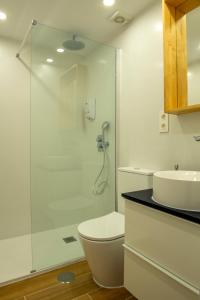 a bathroom with a shower and a toilet and a sink at La chica de la perla in Torremolinos