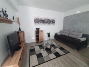 TV a/nebo společenská místnost v ubytování AmAmA