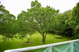 an aerial view of a tree in a yard at Parkoase 3, Maisonette Wohnung mit Balkon in Wangerooge