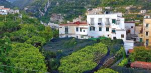 a building on top of a hill with trees at Il Limoneto degli Angeli in Minori
