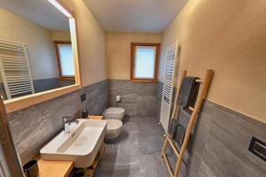 a bathroom with a sink and a toilet and a mirror at Chrys b&b in Valfurva