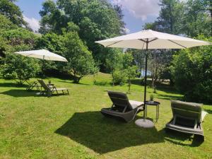 2 chaises et un parasol dans l'herbe dans l'établissement Lake House Sebanc, à Bled