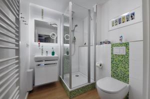 a white bathroom with a shower and a toilet at Lille Solskin in Tönning