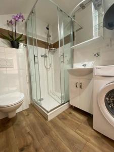 ホジツェにあるSG Apartmánový dům Hoŕiceのシャワー、トイレ、洗面台を備えたバスルーム +33枚の写真