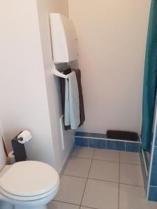 ein kleines Bad mit einem WC und einer Dusche in der Unterkunft etxahun in Ahetze