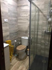 y baño con aseo y ducha acristalada. en Casa de Katiolo, en Figueira de Castelo Rodrigo