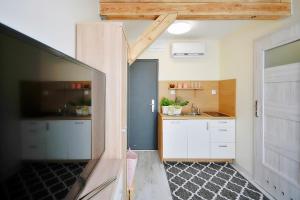 Kuchnia lub aneks kuchenny w obiekcie Plaża Apartament