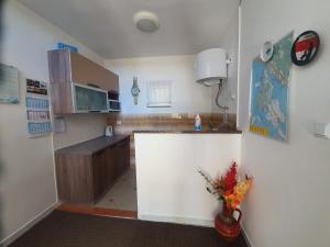 Kuchyň nebo kuchyňský kout v ubytování Apartmani Pucarin