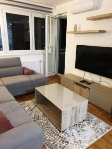 a living room with a couch and a tv at Apartman 33 FREE PRIVATE GARAGE in Novi Sad