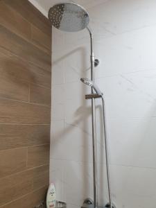 a shower with a shower head in a bathroom at Apartman 33 FREE PRIVATE GARAGE in Novi Sad