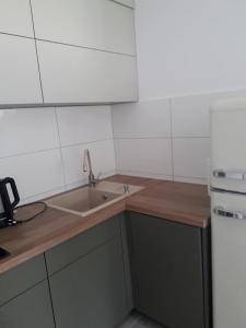 a kitchen with a sink and a stove at Apartament Nova in Dębina