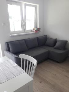a blue couch in a living room with two windows at Apartament Nova in Dębina