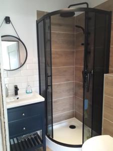 a shower in a bathroom with a sink and a mirror at Apartament Nova in Dębina