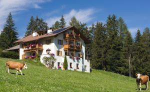 a house on a hill with two cows in a field at Apartments Stroblhof in Ortisei