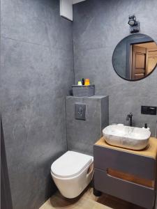 een badkamer met een wastafel, een toilet en een spiegel bij River House - Apartament z ogródkiem in Szczecin