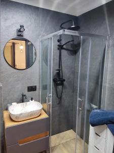 a bathroom with a sink and a shower at River House - Apartament z ogródkiem in Szczecin