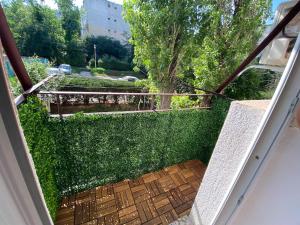 a view of a garden from the inside of a door at Little Boho-Chic in Constanţa