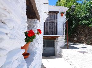 La Abuela Mercedes en Trevélez during the winter