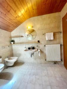a bathroom with a sink and a toilet and a mirror at Apartments Spirit of Mountains in Rasun di Sopra +28 photos