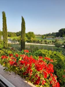 a flower garden with red flowers and trees at Casa Patti alle porte di Siena in Siena