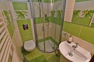 Ein Badezimmer in der Unterkunft VIP Apartmany Besenova