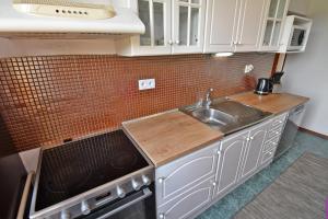 Küche/Küchenzeile in der Unterkunft VIP Apartmany Besenova