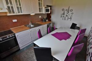 Küche/Küchenzeile in der Unterkunft VIP Apartmany Besenova