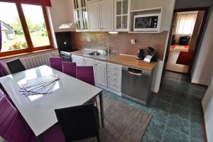 Küche/Küchenzeile in der Unterkunft VIP Apartmany Besenova