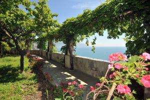 a walkway with flowers and the ocean in the background at Hotel Belvedere in Conca dei Marini