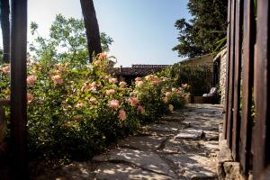 Vonkajšia záhrada v ubytovaní VILLA ANCORA Tenuta Lonciano