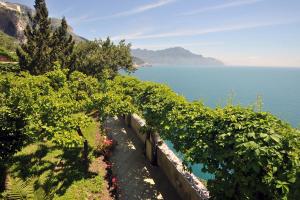 a row of plants on a hill next to the water at Hotel Belvedere in Conca dei Marini
