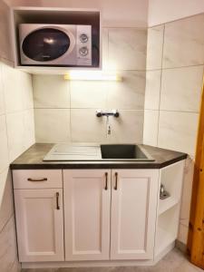 eine kleine Küche mit einer Spüle und einer Mikrowelle in der Unterkunft Agas Vendeghaz in Csopak