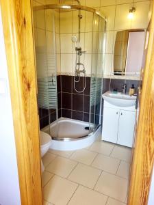 Kúpeľňa v ubytovaní Woodland - Apartments & SPA Łagów