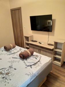 Foto da galeria de Apartment Melody em Burgas