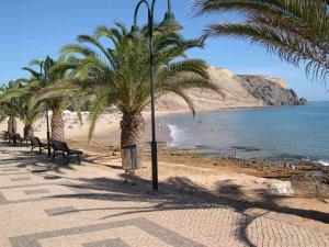 a beach with palm trees and benches and the ocean at Vilamar in Luz