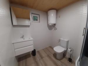 a bathroom with a white toilet and a sink at Family Chillout Wisełka in Wisełka