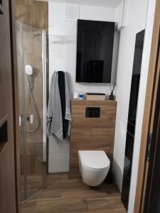 a bathroom with a toilet and a television on the wall at Apartament z widokiem na Zamek in Malbork