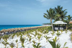 a beach with a beach umbrella and palm trees at Riu Republica - Adults Only - All Inclusive in Punta Cana