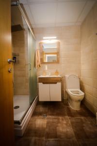 y baño con aseo, lavabo y ducha. en Apartman NINA, en Vrnjačka Banja